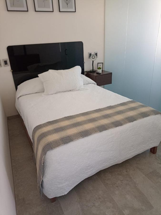 ホテル La Casa Mia レオン エクステリア 写真